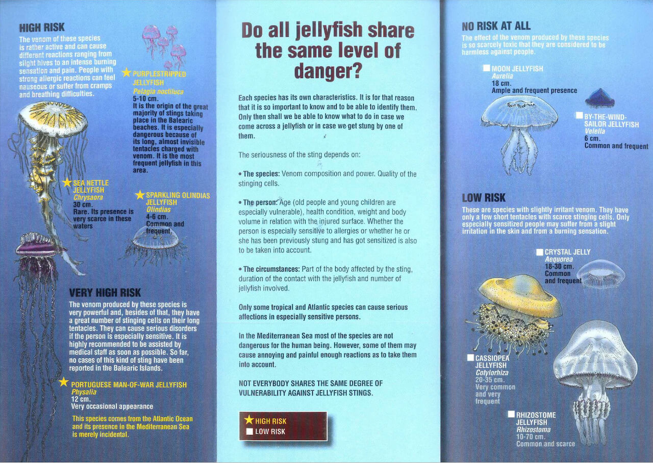 familyfriendlymallorca-jellyfish-caib2