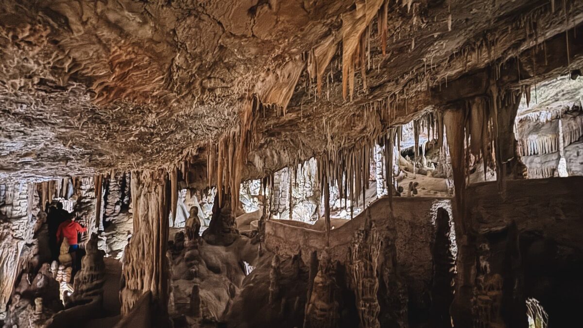 An open book sitting on top of a bed next to a pencil