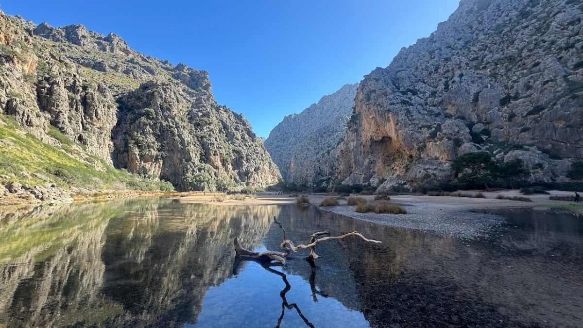 port-de-s-ller-to-sa-calobra-by-boat-a-family-guide-family-friendly